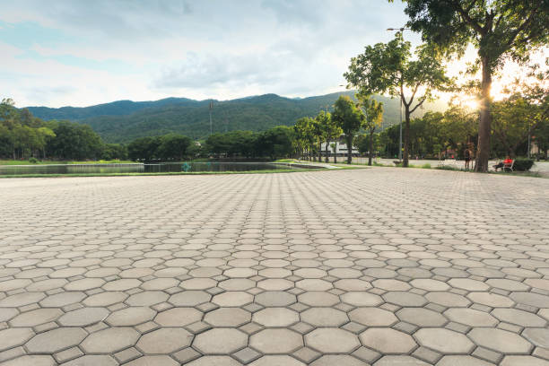 Best Driveway Paver Repair  in Centreville, VA